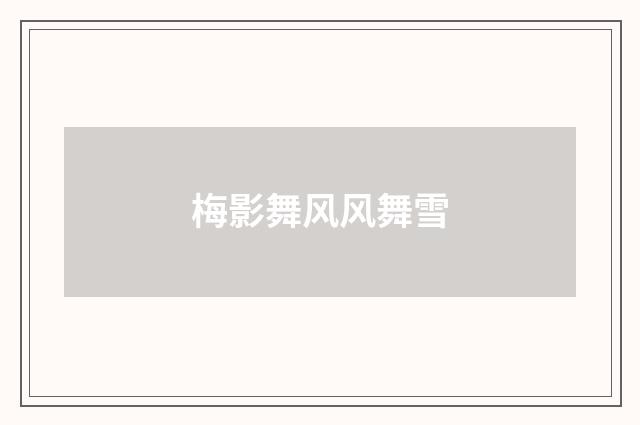 梅影舞风风舞雪