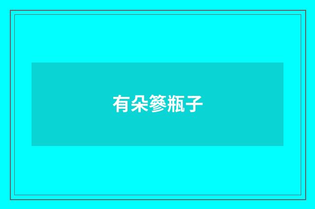 有朵篸瓶子