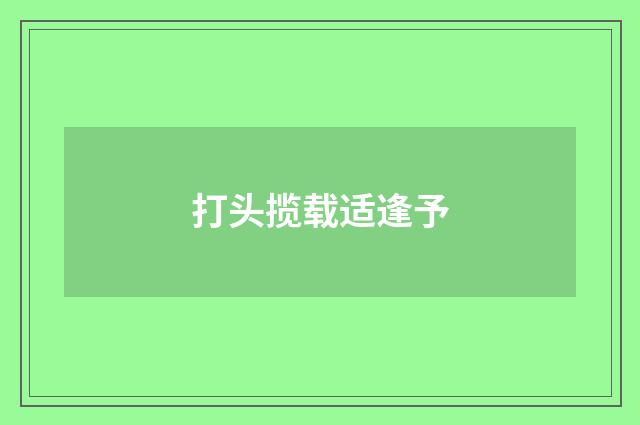 打头揽载适逢予