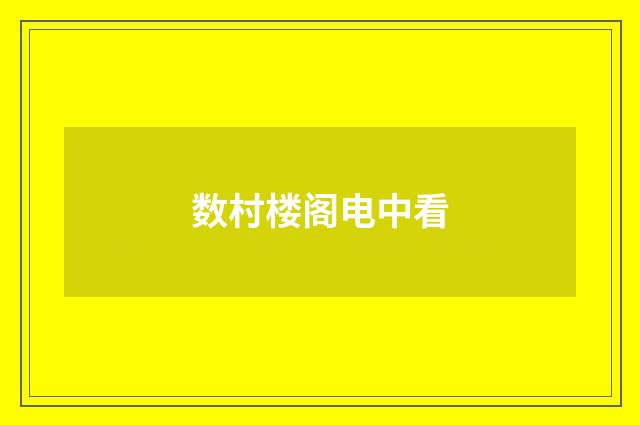 数村楼阁电中看