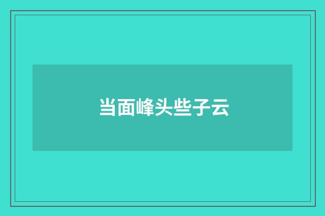 当面峰头些子云