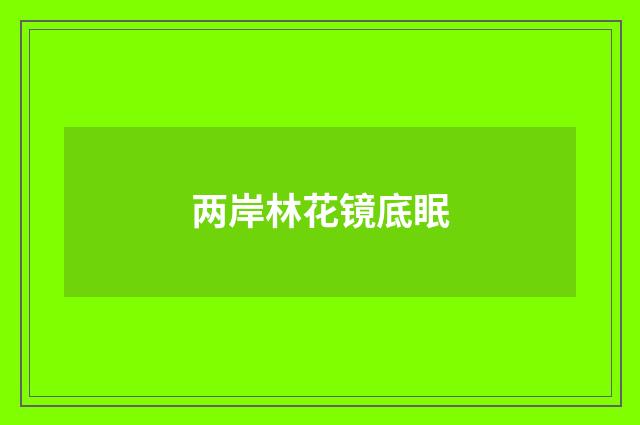 两岸林花镜底眠