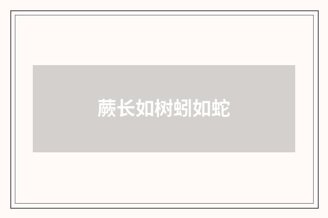 蕨长如树蚓如蛇