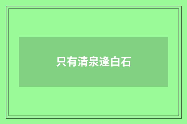 只有清泉逢白石