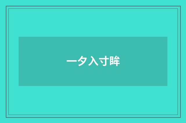 一夕入寸眸
