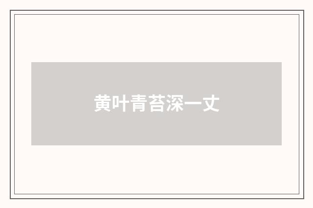黄叶青苔深一丈