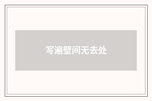 写遍壁间无去处
