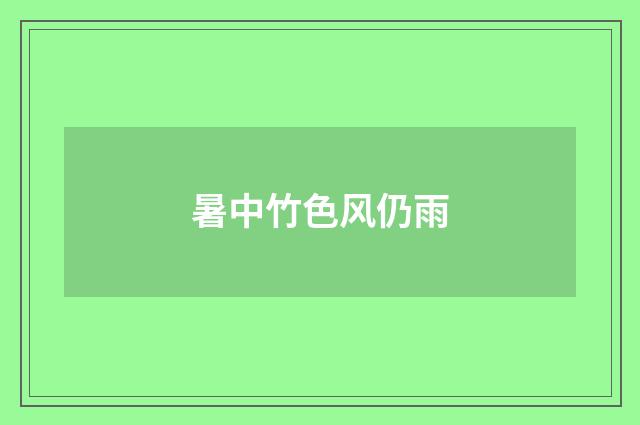 暑中竹色风仍雨