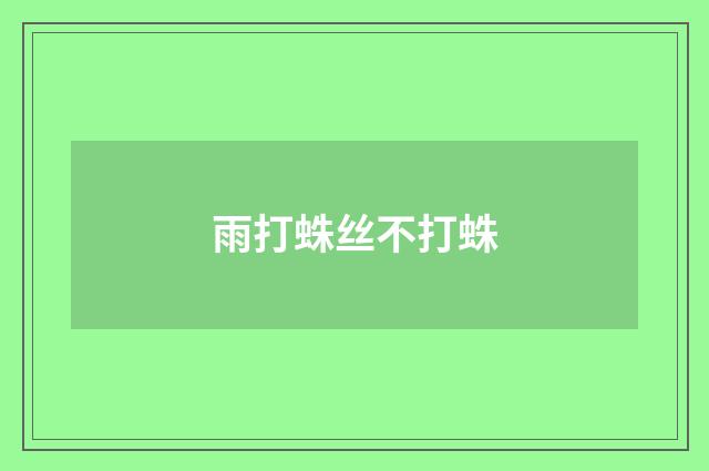 雨打蛛丝不打蛛