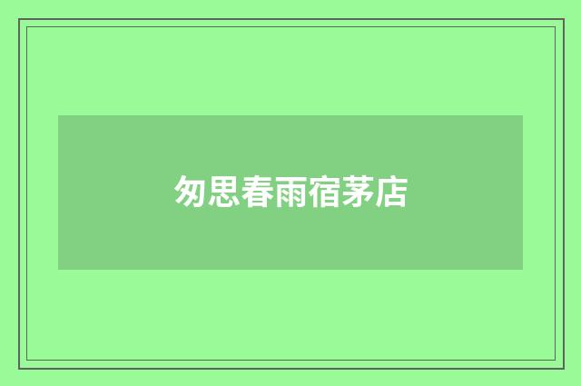 匆思春雨宿茅店