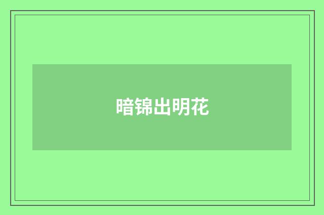 暗锦出明花