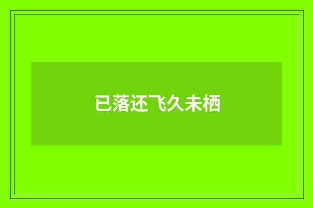 已落还飞久未栖