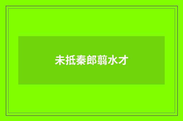 未抵秦郎翦水才