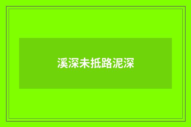 溪深未抵路泥深