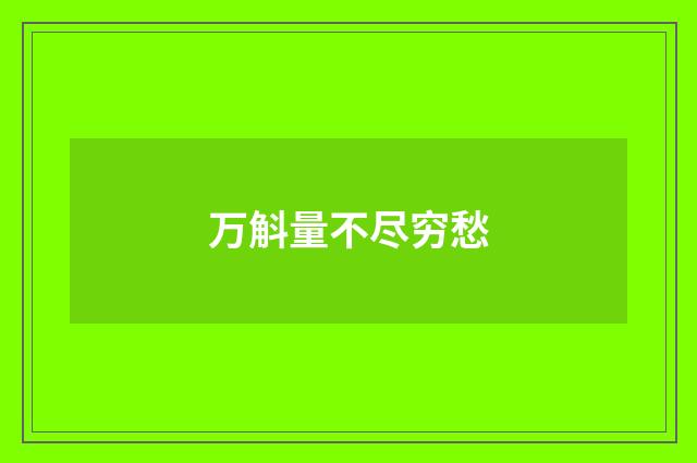万斛量不尽穷愁