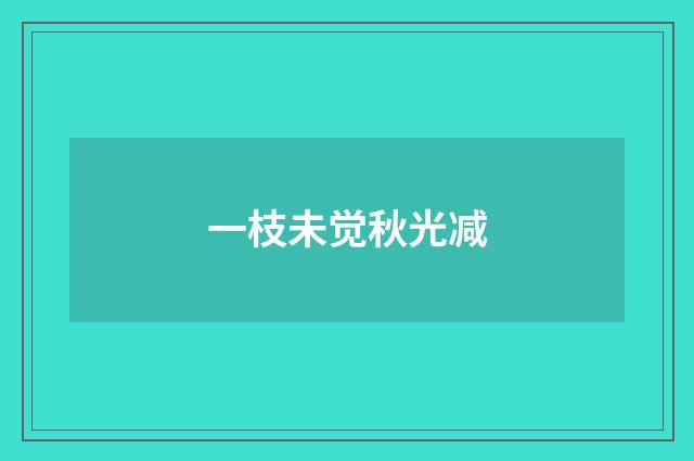 一枝未觉秋光减