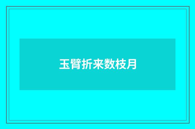 玉臂折来数枝月
