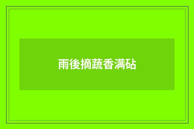 雨後摘蔬香满砧