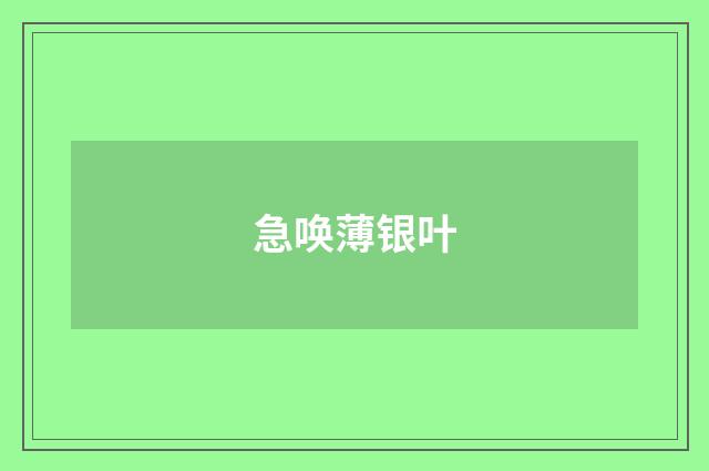 急唤薄银叶