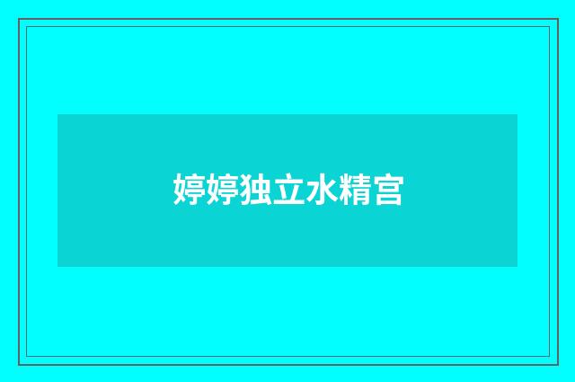 婷婷独立水精宫