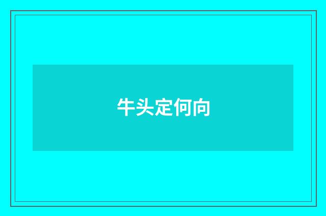 牛头定何向