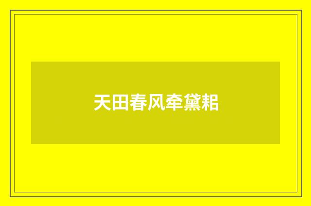 天田春风牵黛耜
