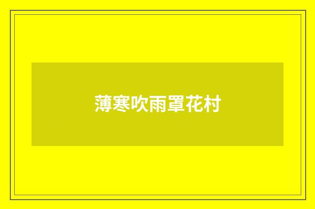 薄寒吹雨罩花村