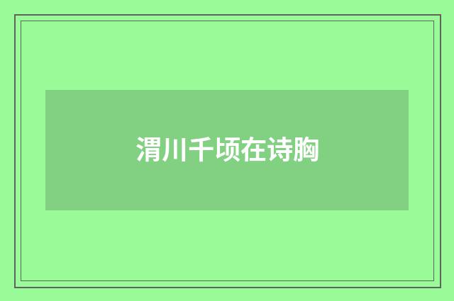 渭川千顷在诗胸