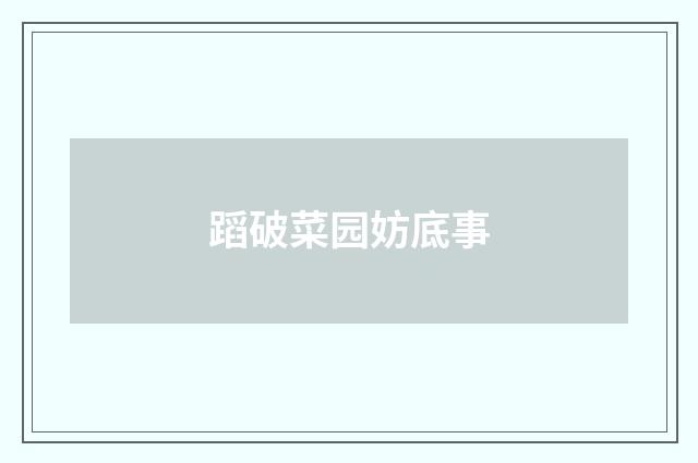 蹈破菜园妨底事