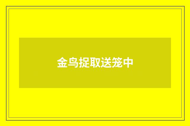 金鸟捉取送笼中