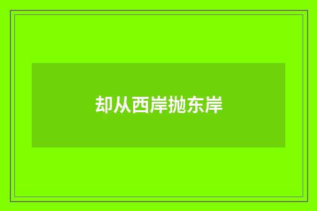 却从西岸抛东岸