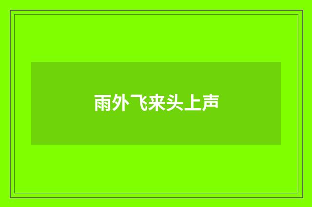雨外飞来头上声