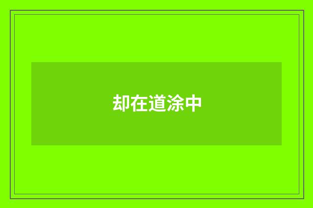 却在道涂中
