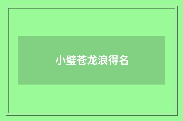 小璧苍龙浪得名