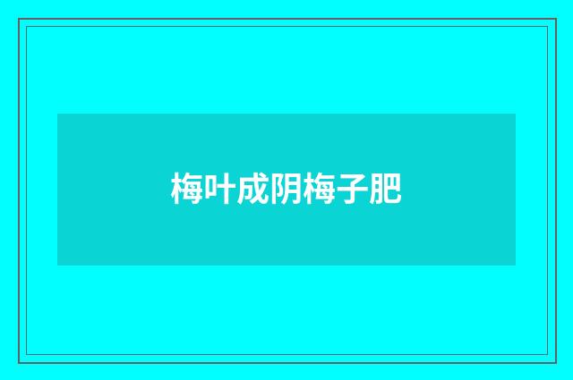 梅叶成阴梅子肥