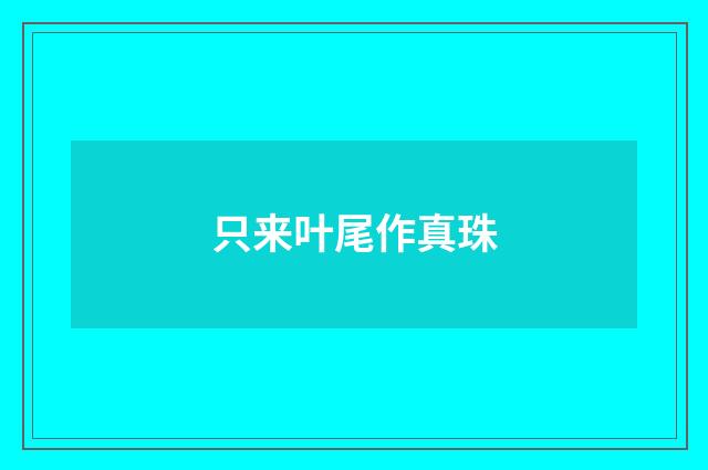 只来叶尾作真珠