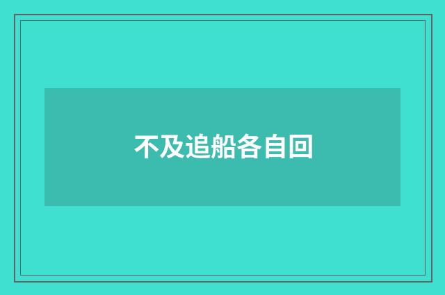 不及追船各自回