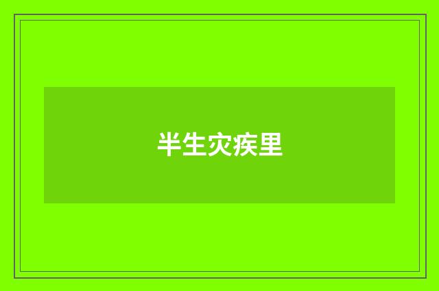 半生灾疾里