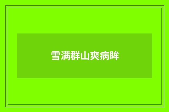 雪满群山爽病眸