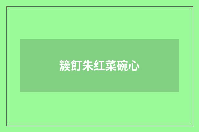 簇飣朱红菜碗心