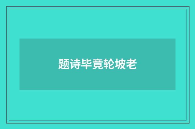 题诗毕竟轮坡老