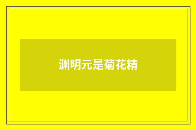 渊明元是菊花精