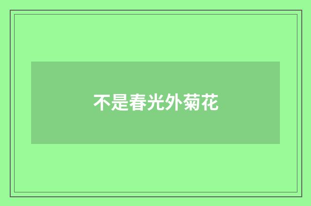 不是春光外菊花