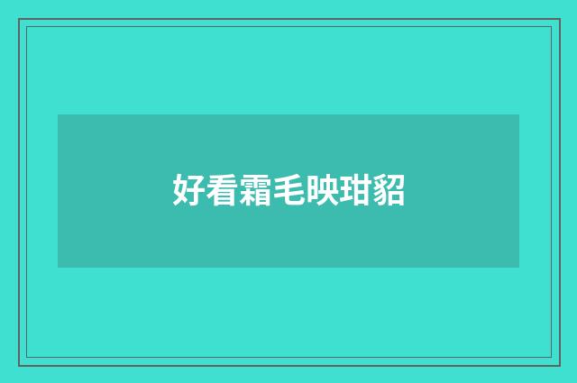 好看霜毛映玵貂