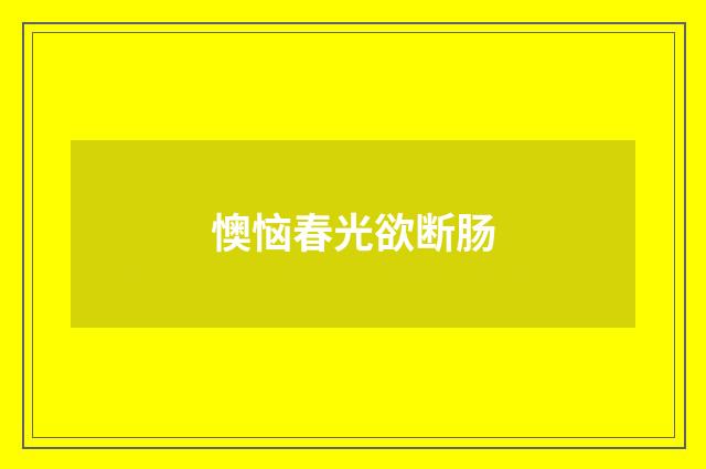 懊恼春光欲断肠