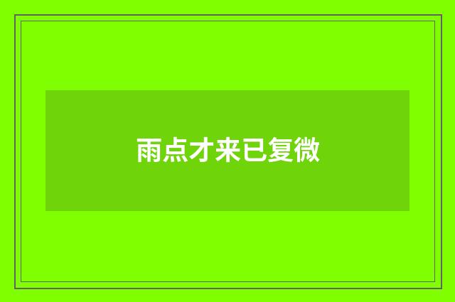 雨点才来已复微