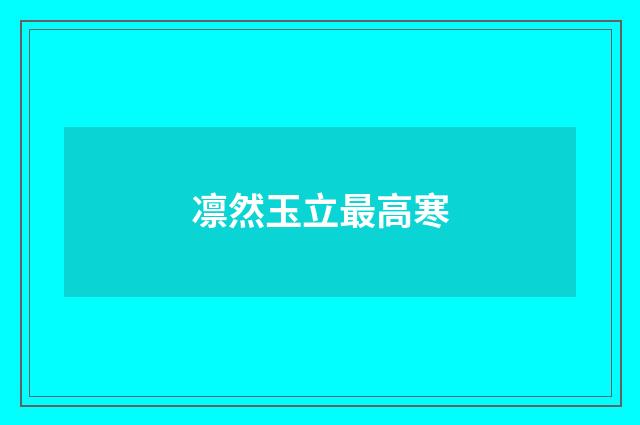 凛然玉立最高寒