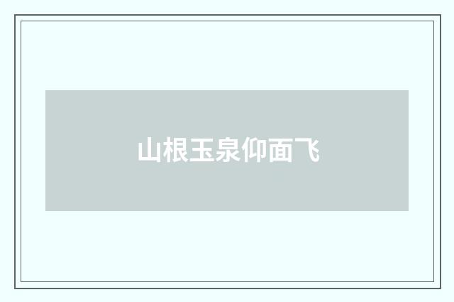 山根玉泉仰面飞