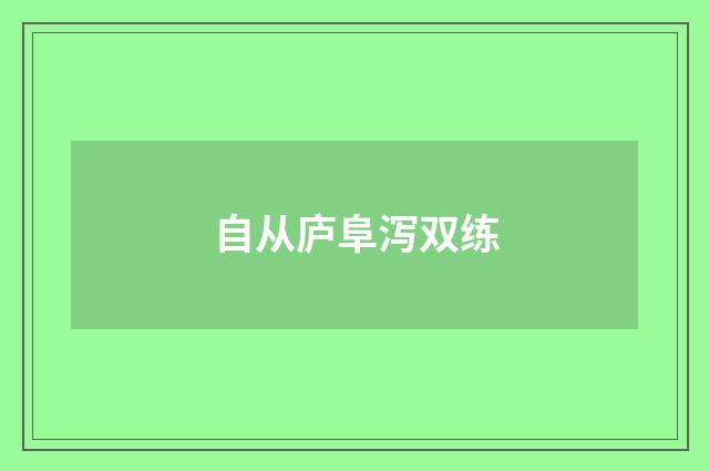 自从庐阜泻双练