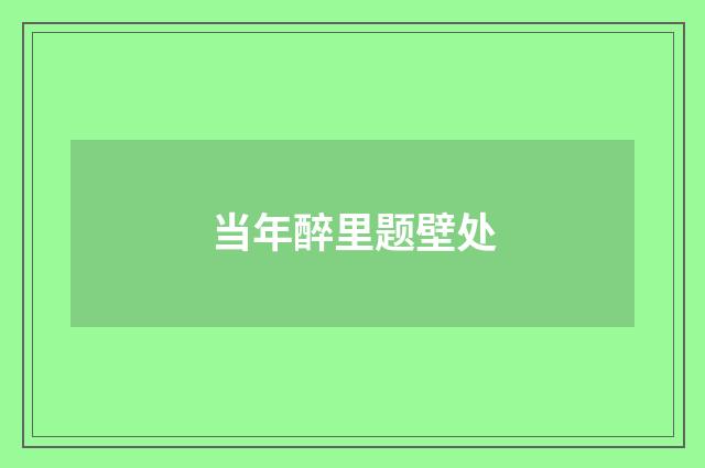 当年醉里题壁处